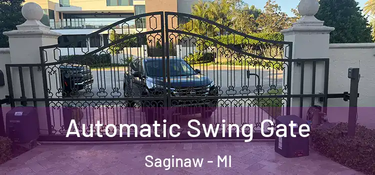  Automatic Swing Gate Saginaw - MI