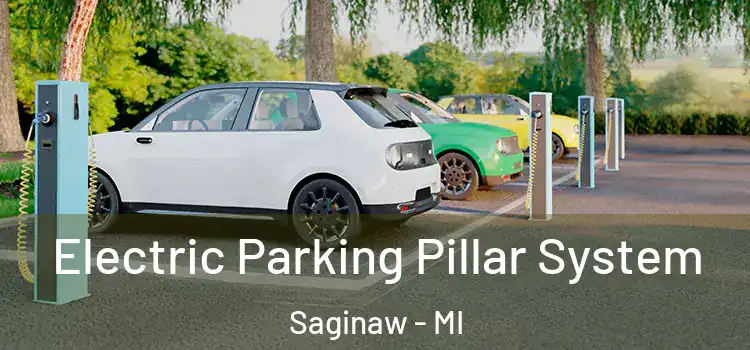 Electric Parking Pillar System Saginaw - MI