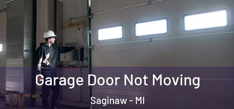  Garage Door Not Moving Saginaw - MI
