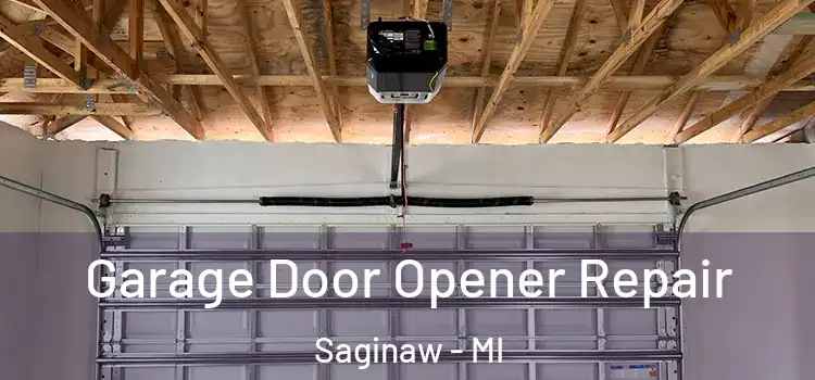  Garage Door Opener Repair Saginaw - MI