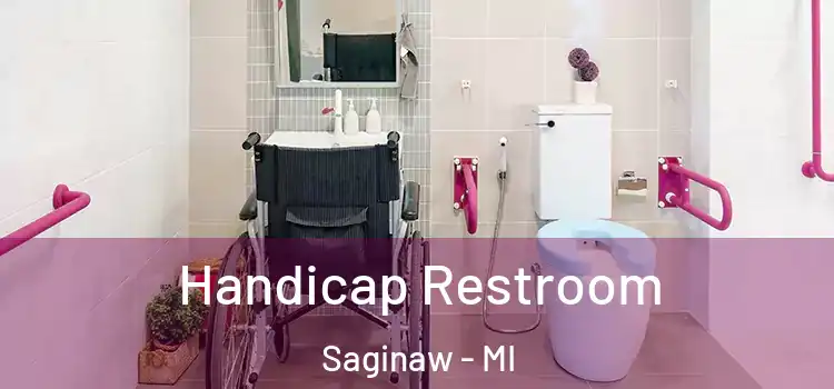  Handicap Restroom Saginaw - MI