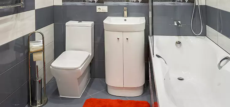 Hansgrohe Shaving Mirror Saginaw