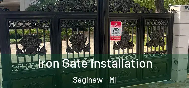 Iron Gate Installation Saginaw - MI